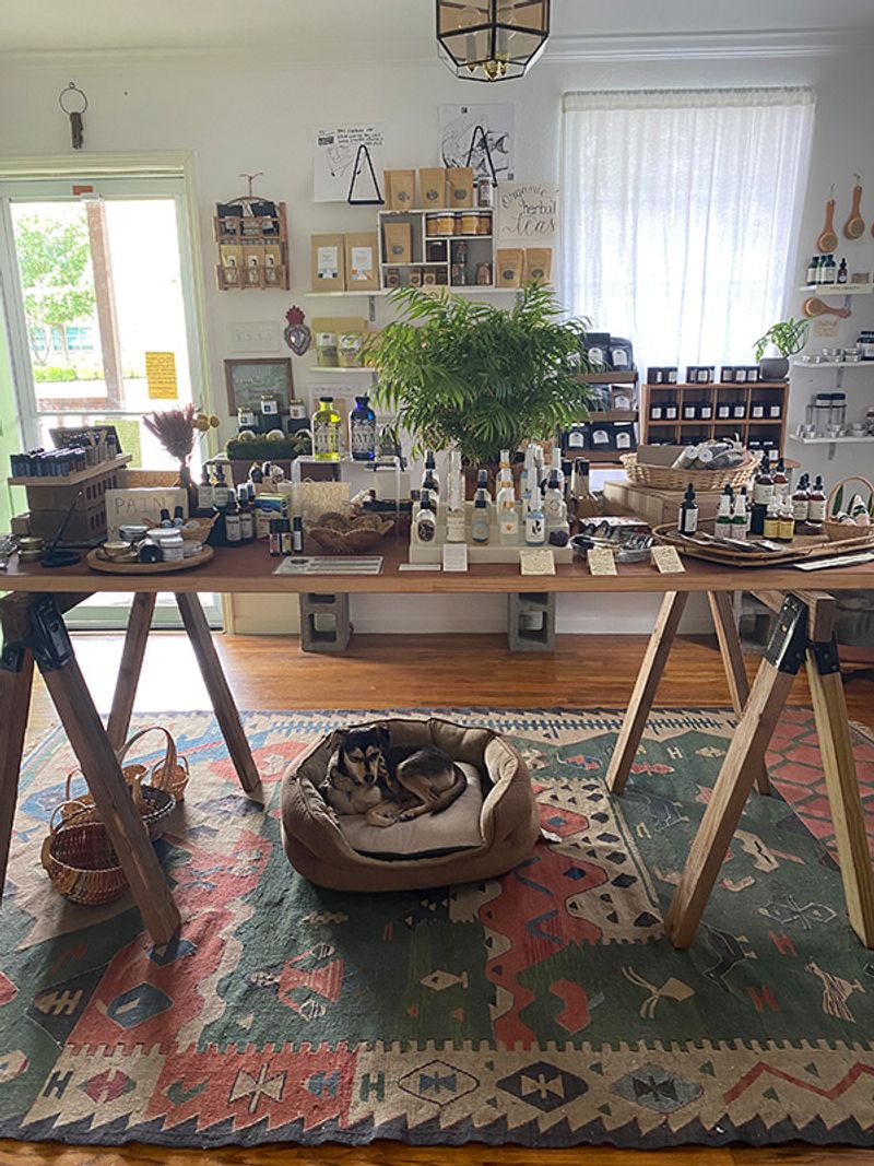 Economic Boost for Local Businesses and Job Creation