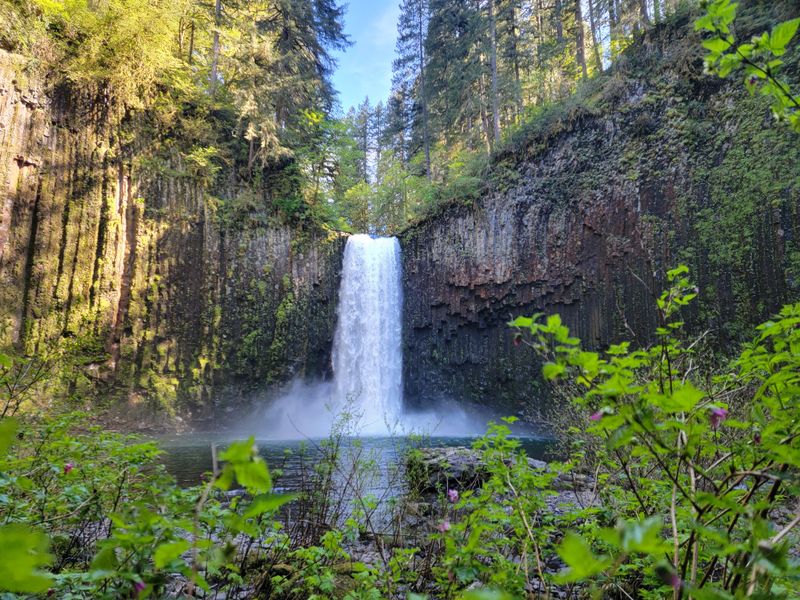 Abiqua Falls Trail, Near Salem