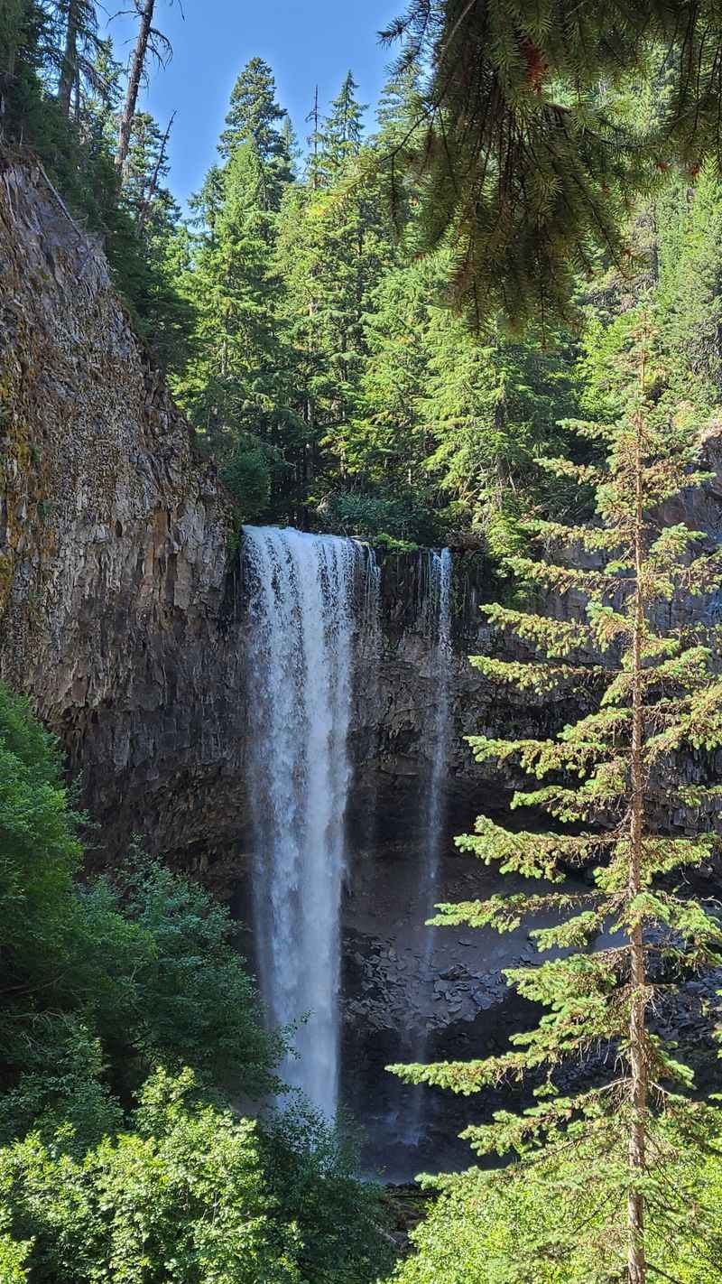 Tamanawas Falls Trail