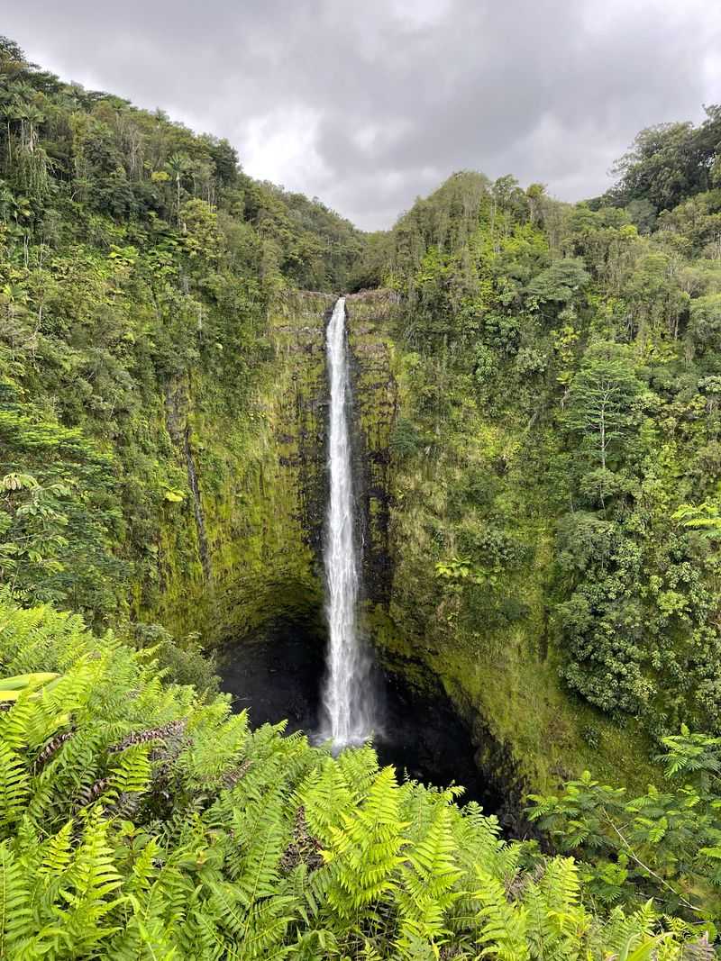 Akaka Falls, Hawaii Island