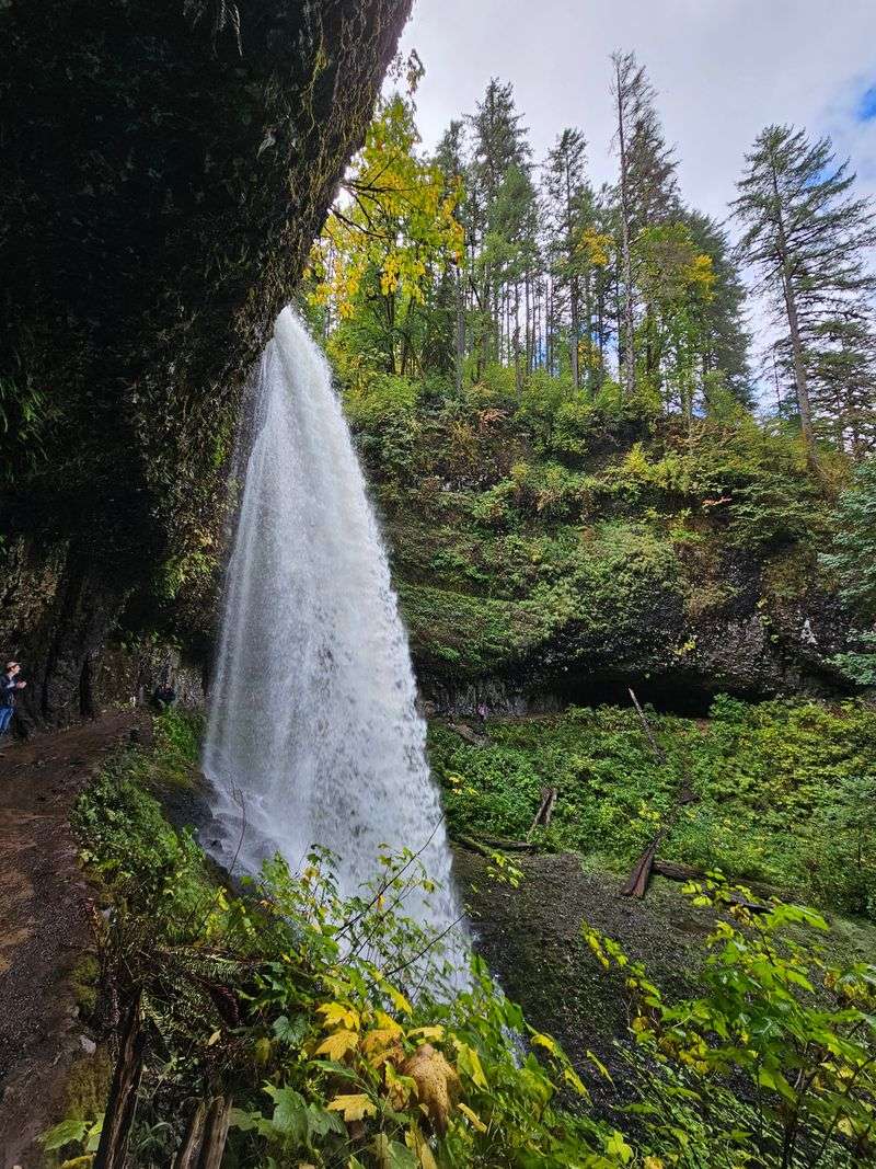 A Crown Jewel Setting