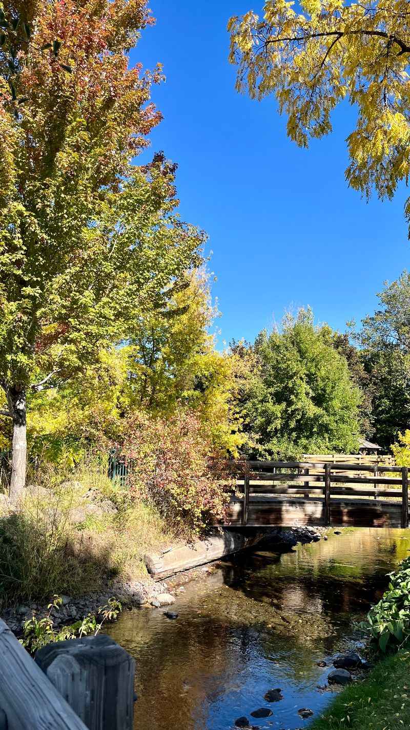 Four Seasons, Four Different Rhythms