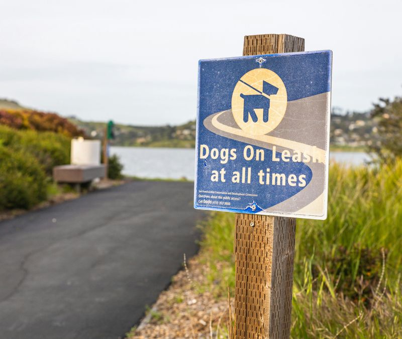 Letting A Dog Off-Leash Outside Designated Areas