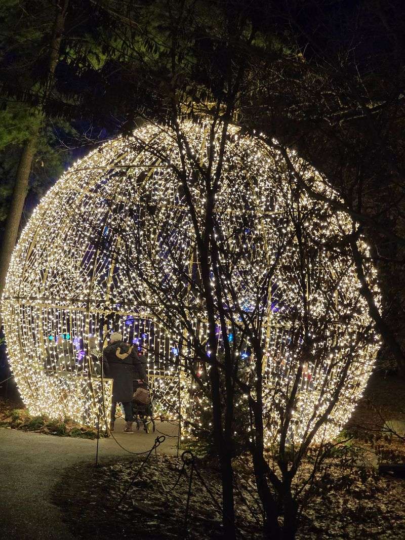 Special Light Events Transform Gardens Into Magical Wonderlands