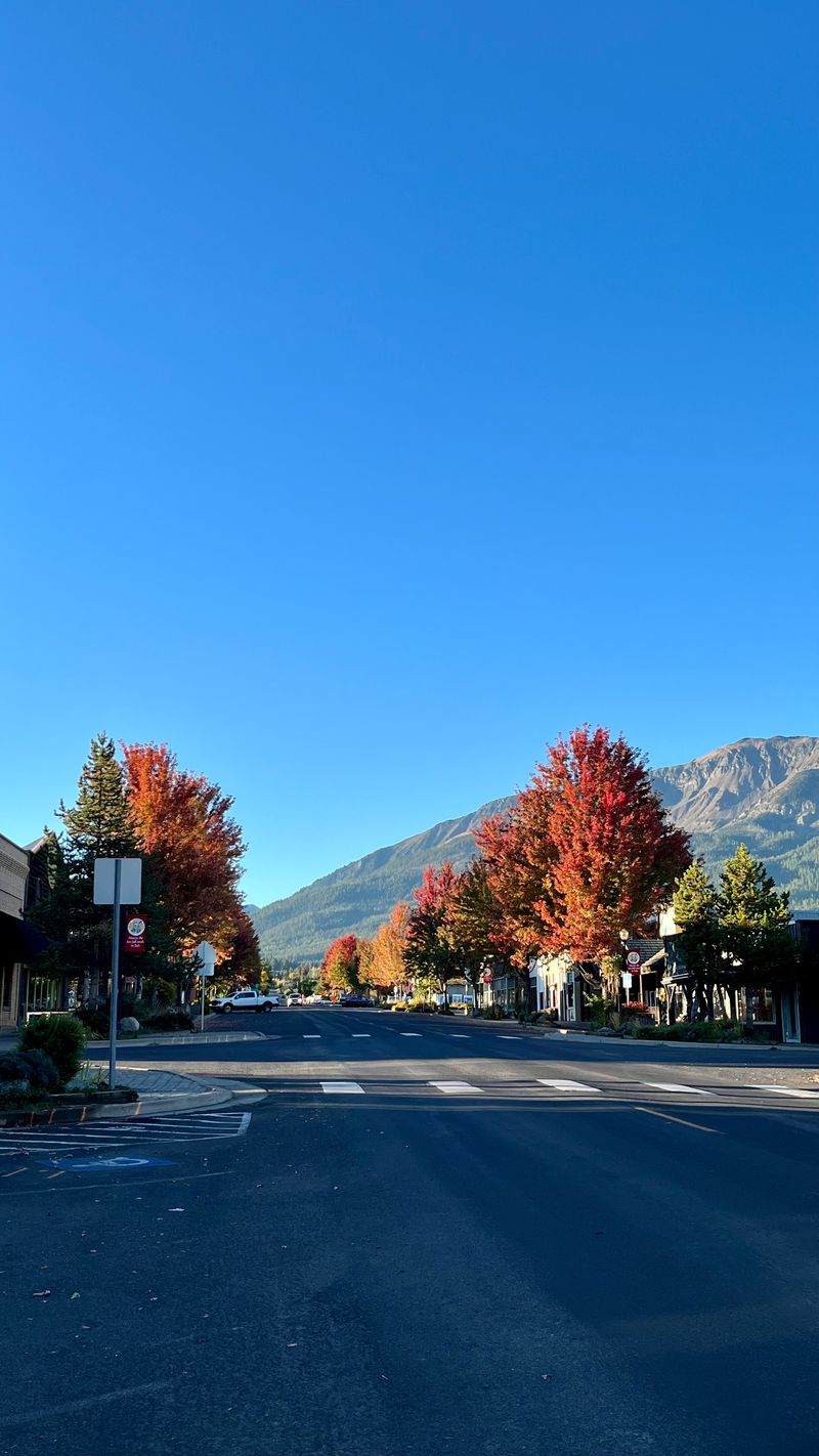 Trust and Community in a Town Without Stoplights