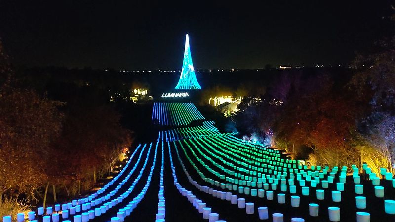 Experience the Magical Luminaria Display