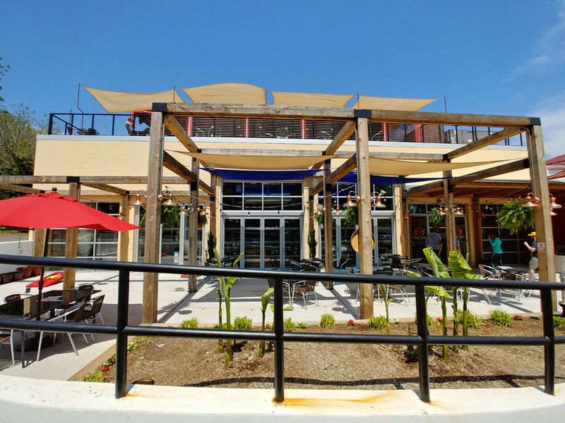 Cozy Cafes and Coffee Shops