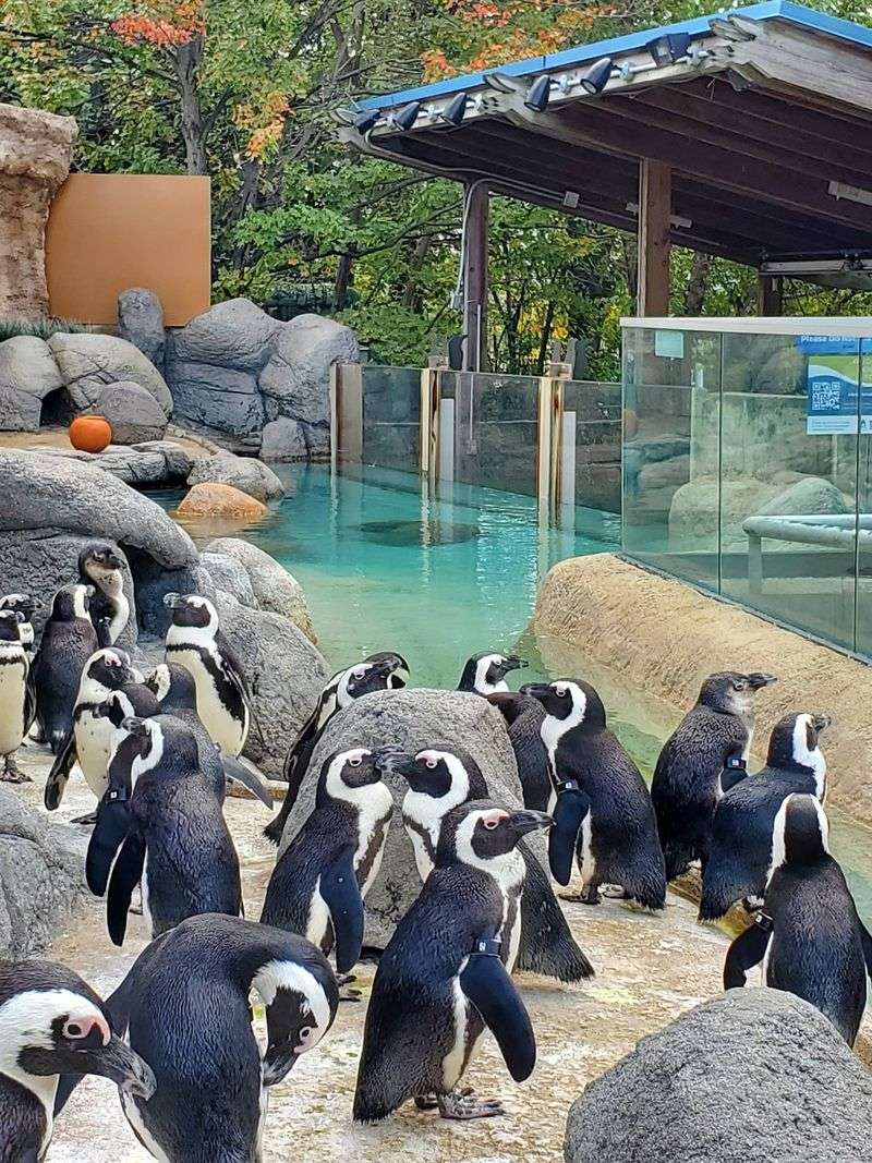 Cultural Attractions That Enrich Without Emptying Wallets