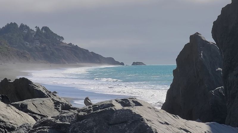 The Beach Feels More Raw Than Recreational