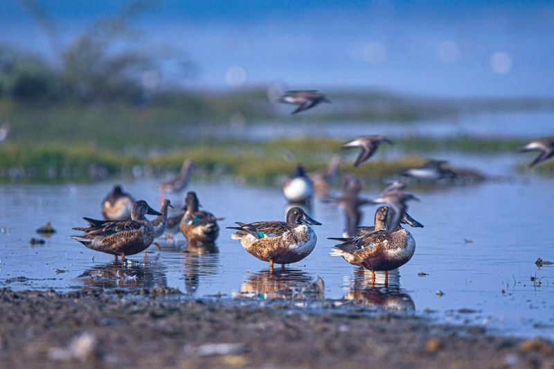 Wildlife Areas Are Pulling Double Duty