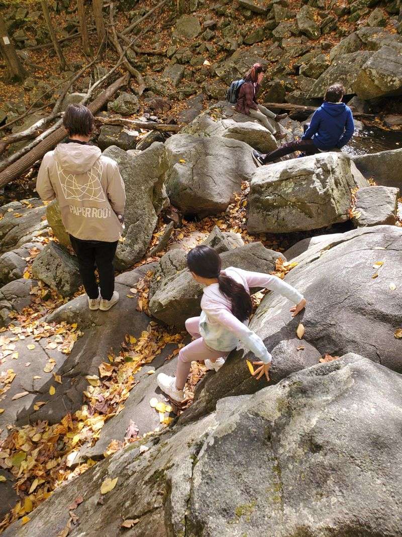 Shaded Canopy Provides Cool Refuge During Hot New Jersey Summers