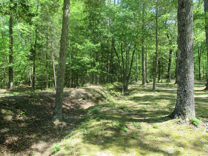 Wilderness Battlefield