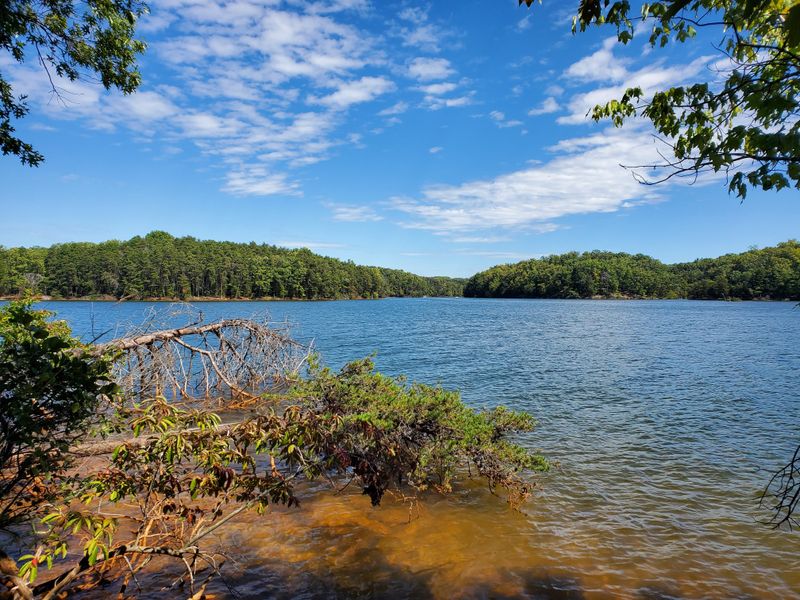 Smith Mountain Lake State Park