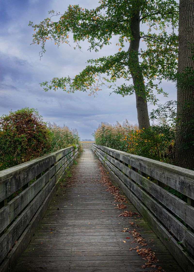 Why Locals Like It This Way