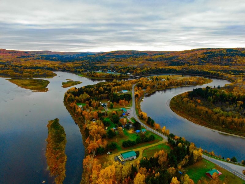 Why Crowds Never Show Up