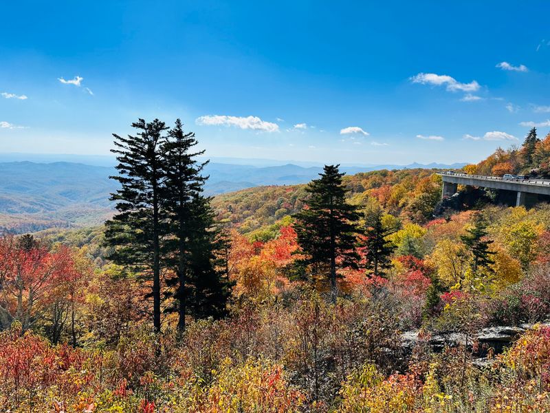 How Seasons Rewrite The Scene