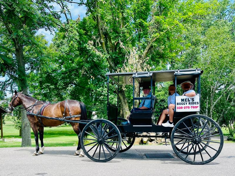 Horses and Buggies on Shared Roads