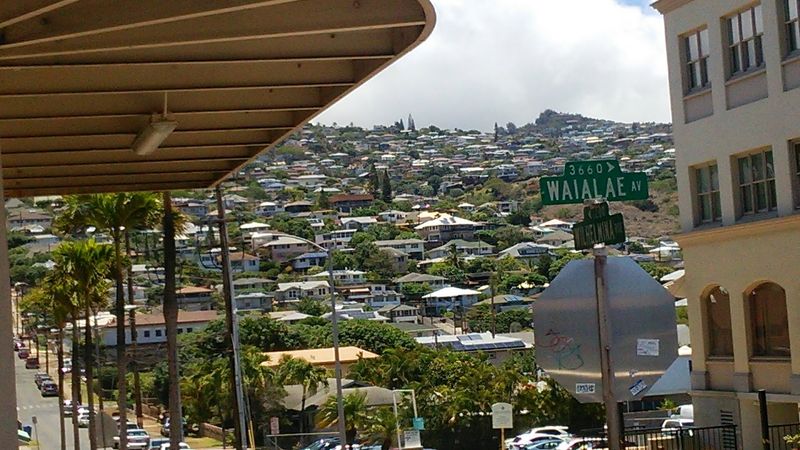 The Nickname Flattens Real Life
