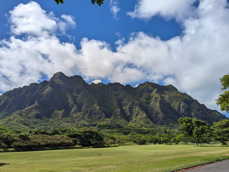 When Appreciation Turns Into Oversimplification
