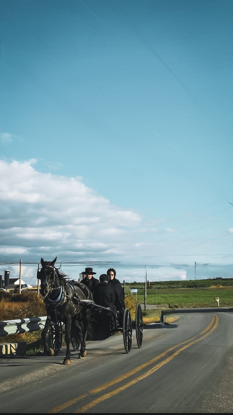 Sharing the Road with Buggies