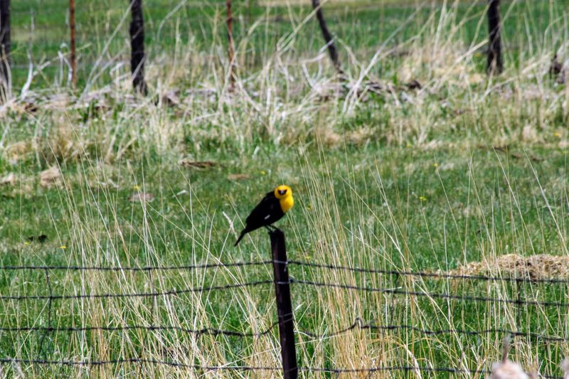 Why Uravan Became A Warning