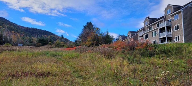 How The Mountain Reclaimed The Space