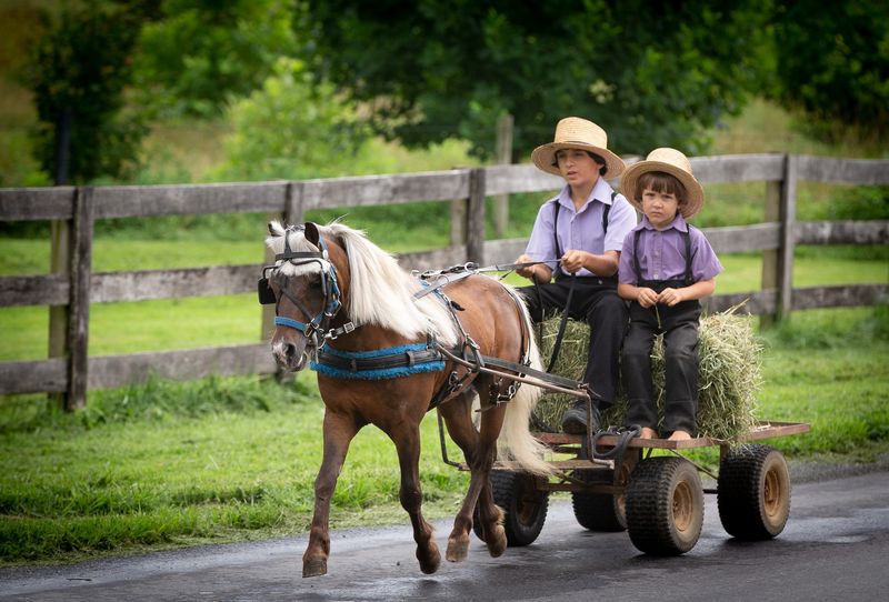 How Sound And Silence Shape The Experience