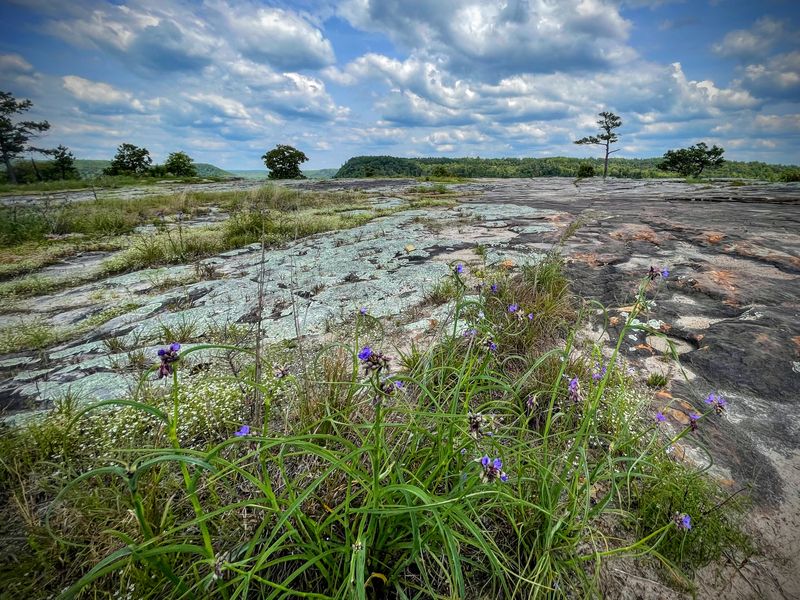 A Place Where Nature Sets The Tone