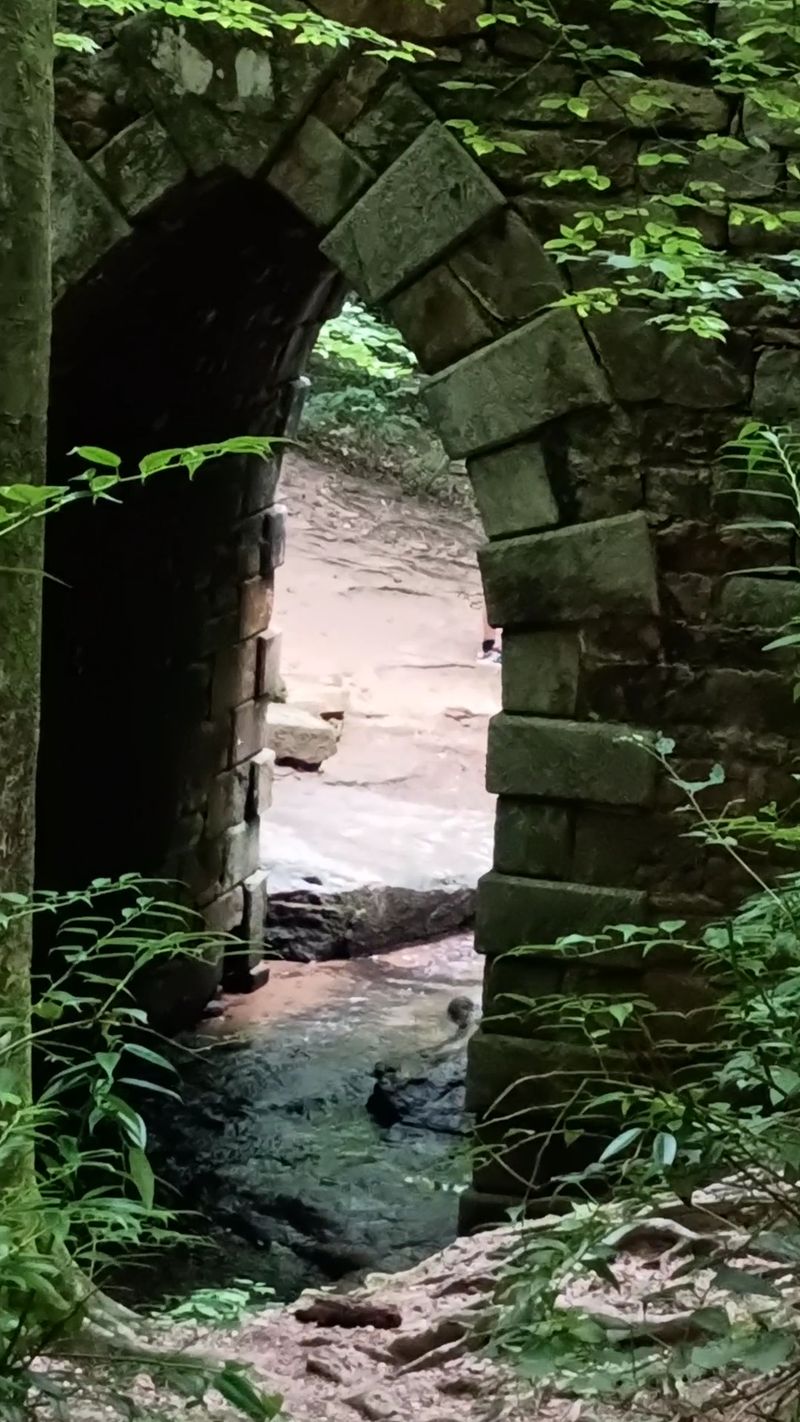 How The Bridge Survived Two Centuries