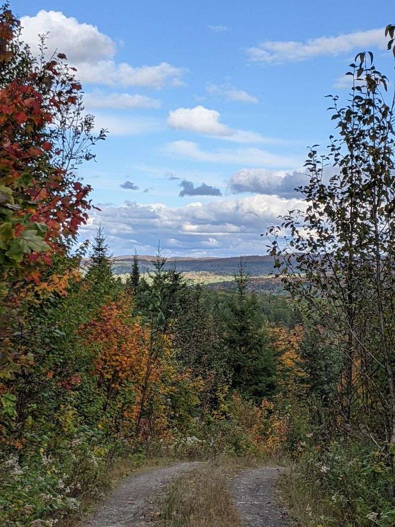 How Seasons Shape The Silence