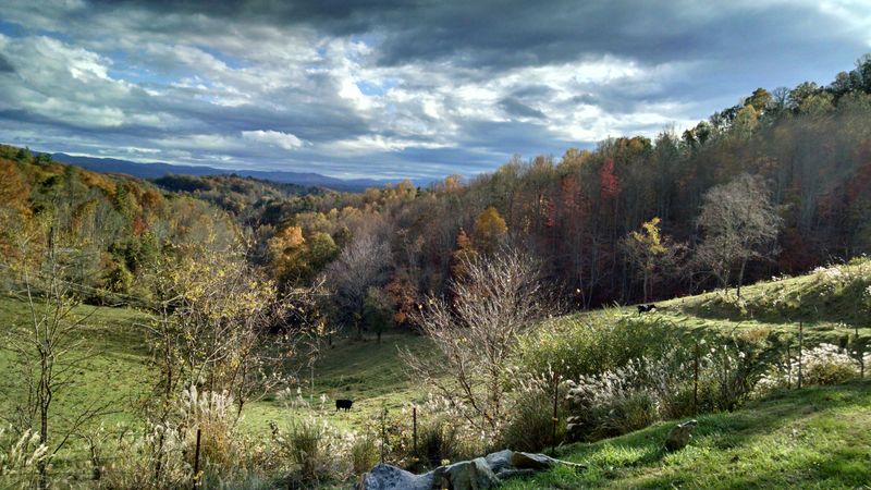 How Close It Is Yet Feels Far