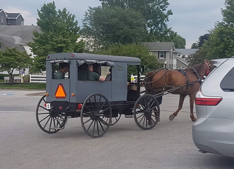 The Amish Are Not A Tourist Attraction