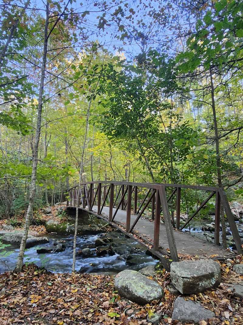 Seasonal Magic: Experiencing Old Rag Throughout the Year