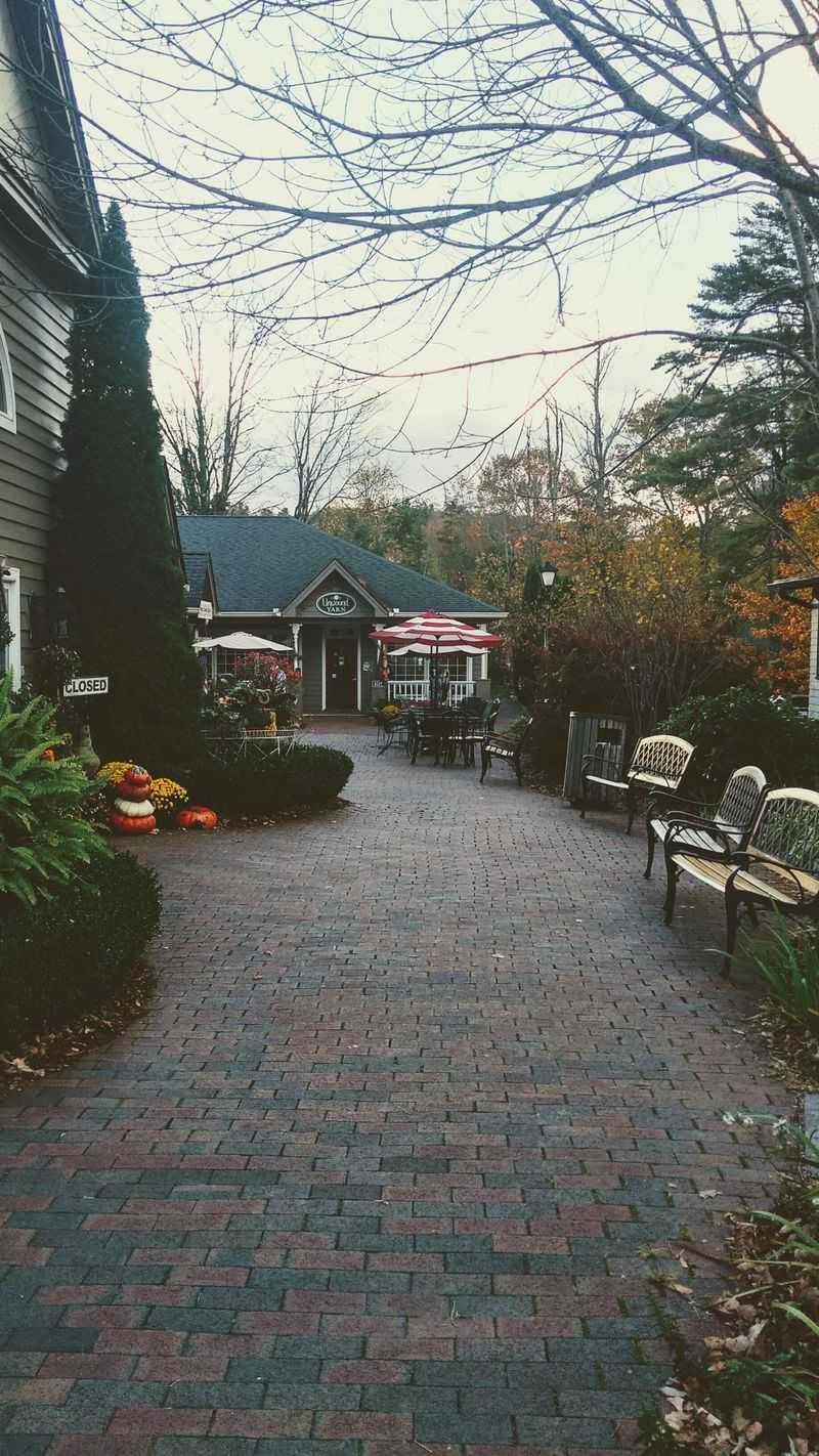 Why Visitors Refuse To Stop Posting