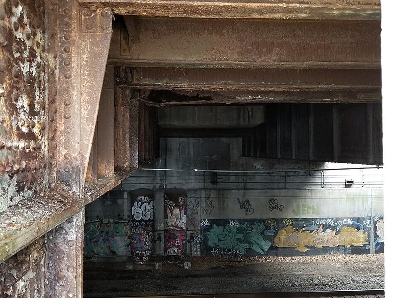 The Underground World That Formed Inside