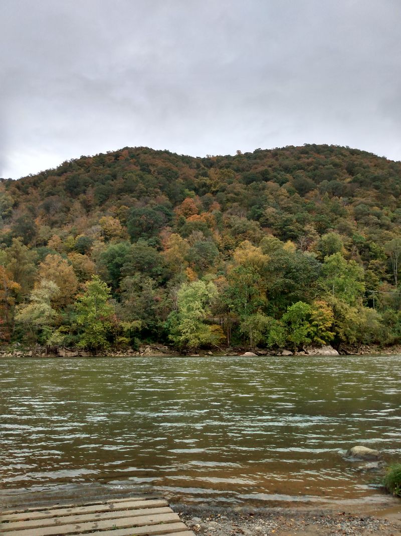 The Population That Never Came Back