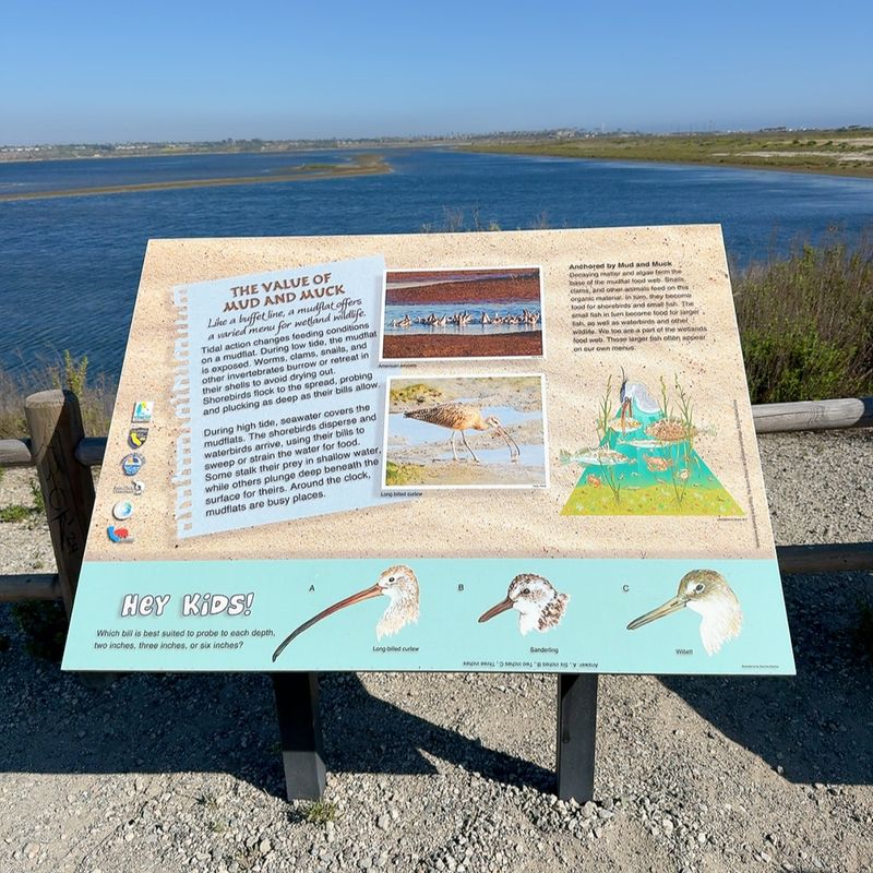 Bolsa Chica Ecological Reserve, Huntington Beach