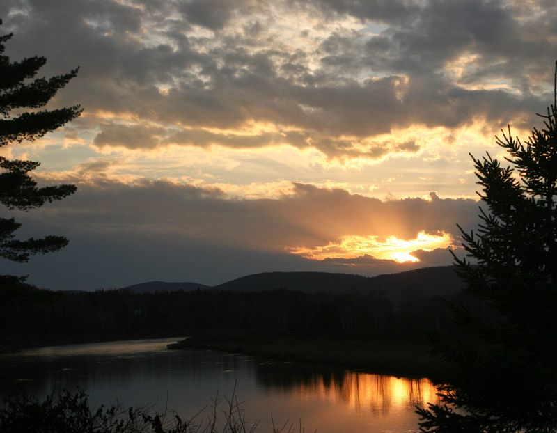 What You Do When There Is Nothing To Do