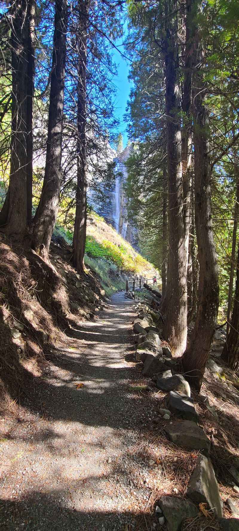 A Walk That Explains Everything