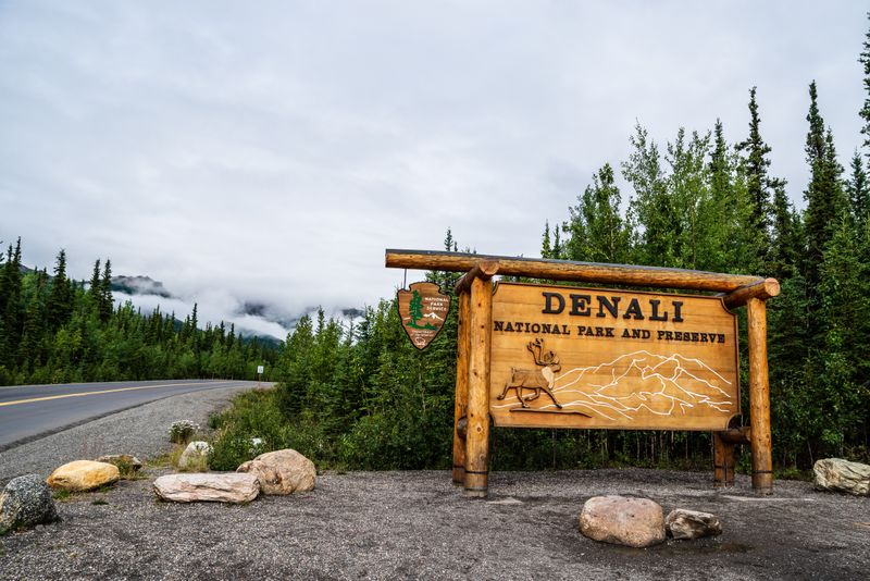 Driving The Denali Park Road Experience