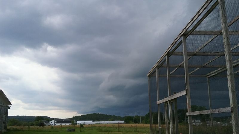 Roads That Grow Quieter At Dusk