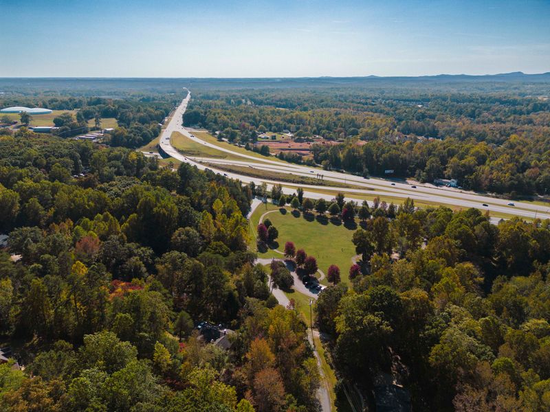 How The Forest Kept It Hidden