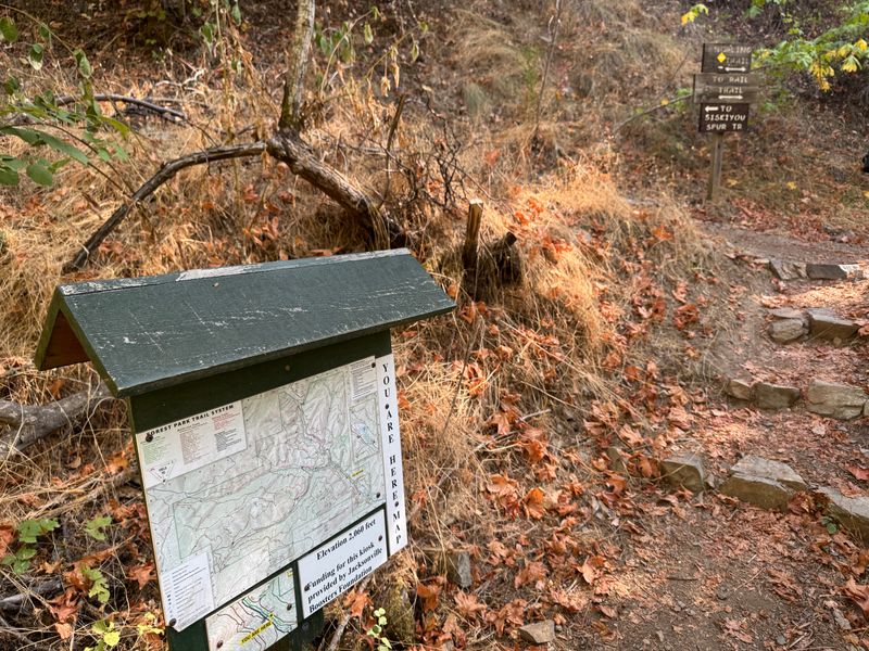 Streets That Still Follow Their Original Paths
