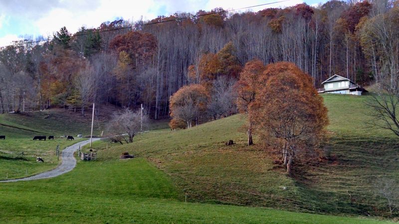 What Visitors Notice Right Away