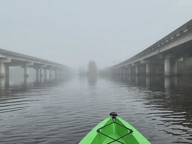 Fog That Rolls In Without Warning