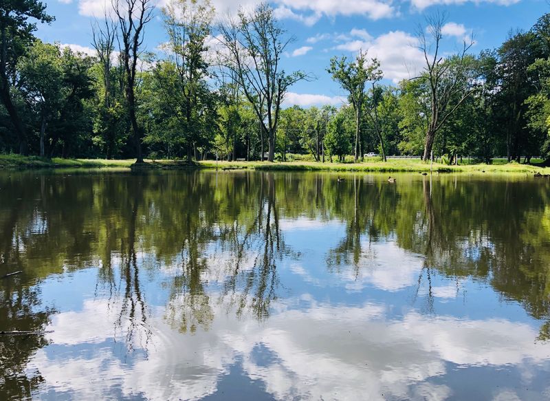 Why The Site Still Feels Strange