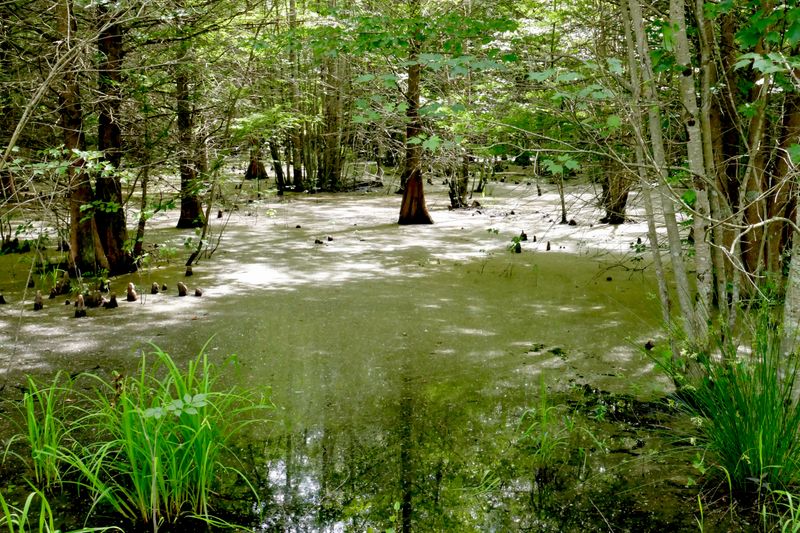 The Role Of Heat And Humidity