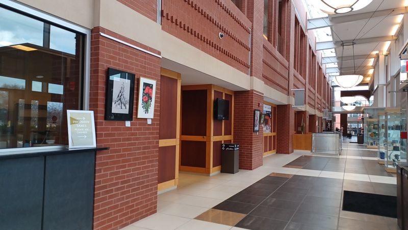 The TikTok Joke That Took Off