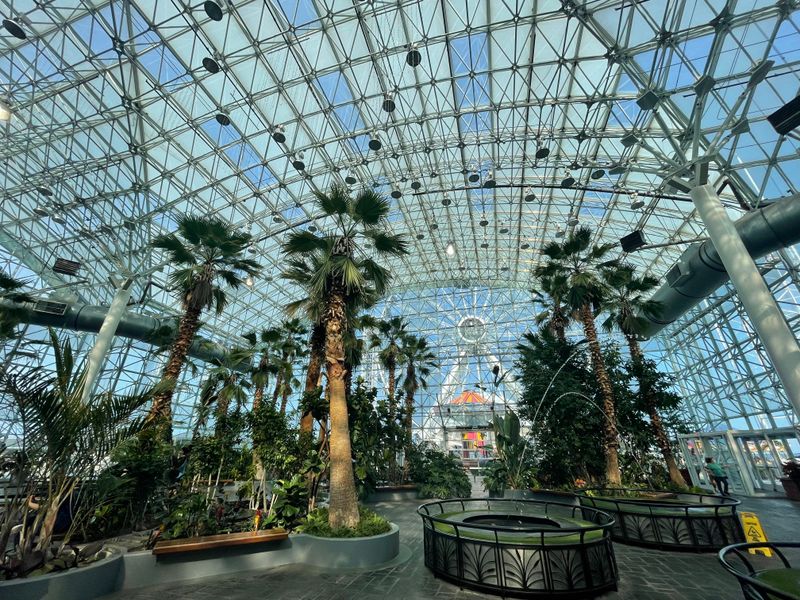 How Empty Spaces Amplify Small Sounds