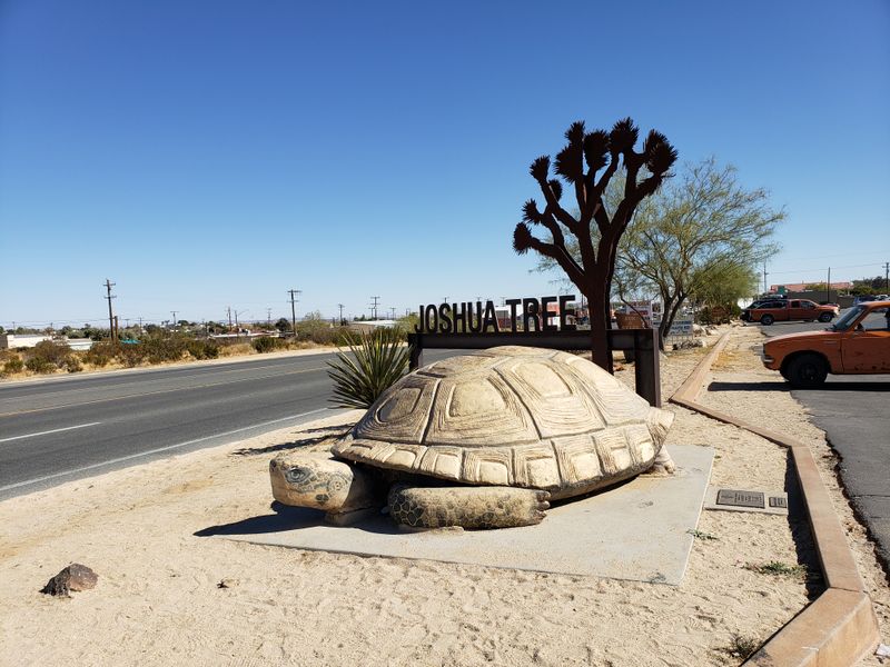 How Wildlife Is Affected By Constant Human Presence